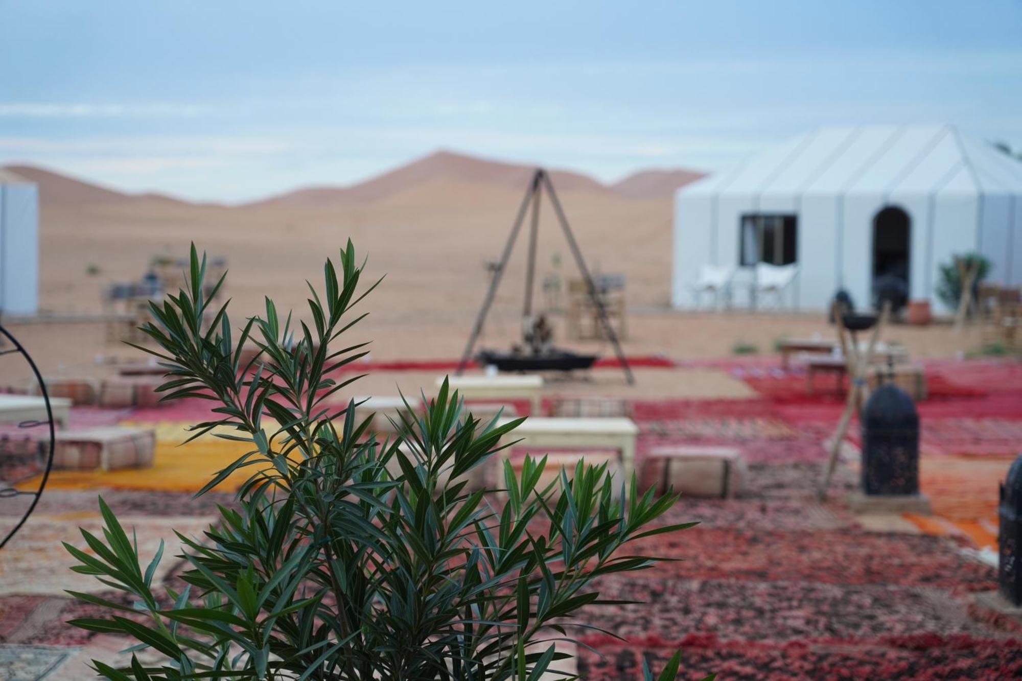 فندق Luxury Berber Style مرزوكة المظهر الخارجي الصورة